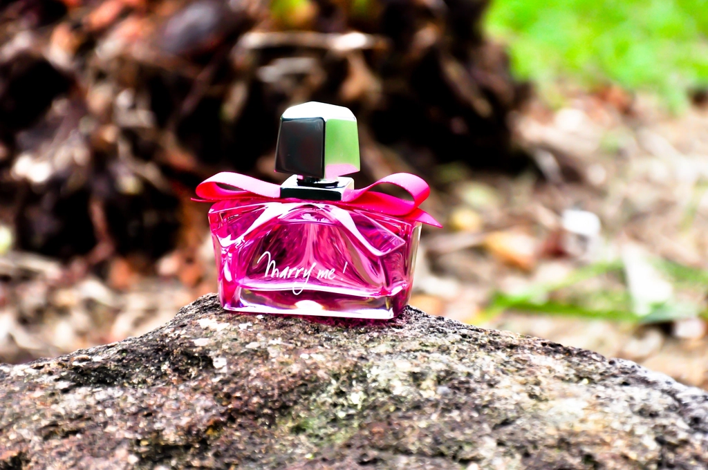 Perfumes Nacionais que Parecem Caros: 5 Opções Elegantes em 2026